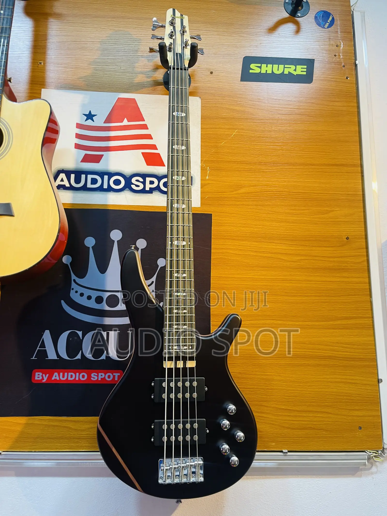 Ibanez Professional Active 5 Strings Bass Guitar