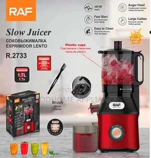 Raf Slow Juicer 300w