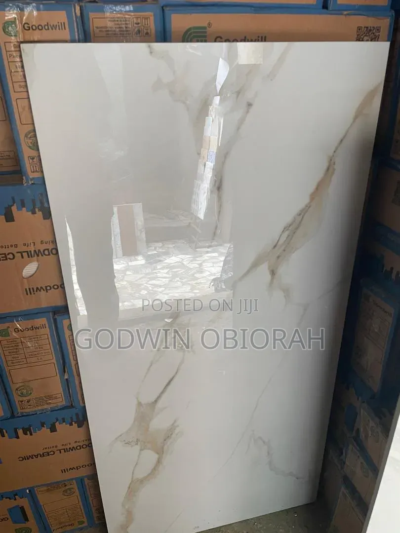 60x120 Goodwill Super Polished Nylon Face