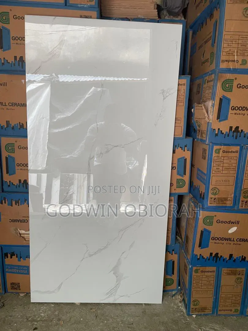 60x120 Goodwill Super Polished Nylon Face