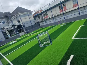 Quality Turf at Best Price!