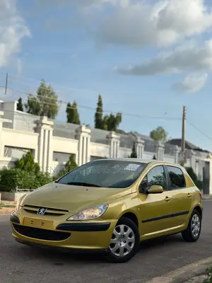 Peugeot 307 2004 Gold