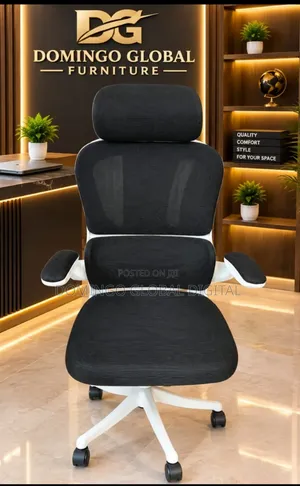 Ergonomic Office Chair