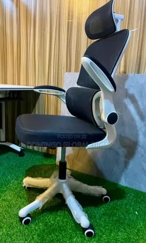 Ergonomic Office Chair
