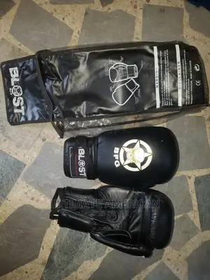 BFG Bost Brand New Boxing Gloves