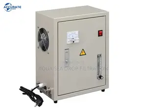 Ceramic Ozone Generator