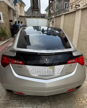 Acura ZDX Base AWD 2010 Silver