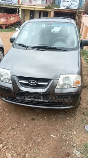 Hyundai Atos 2007 Gray