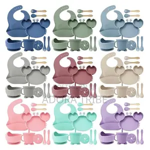 6 in 1 Baby Silicone Feeding Set