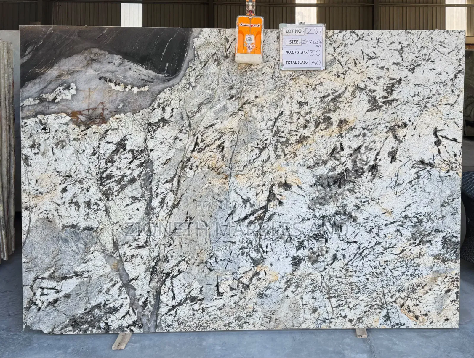 Italian Alaska Branco Granite Slab