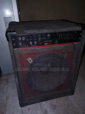 Custom Combo Speaker
