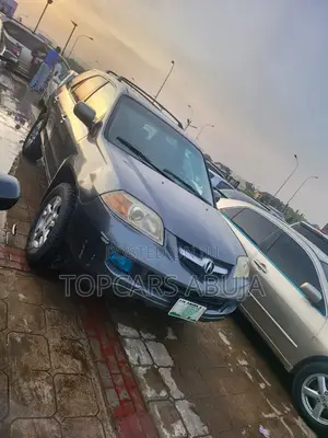 Acura MDX 2005 Gray