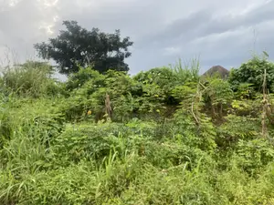 2 Plots of Land for Sale in Umuagwo, Owerri, Imo State!