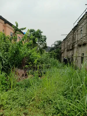 30 Feet by 110 Feet Inside the Prestigious Kayfarm Estate. N100m
