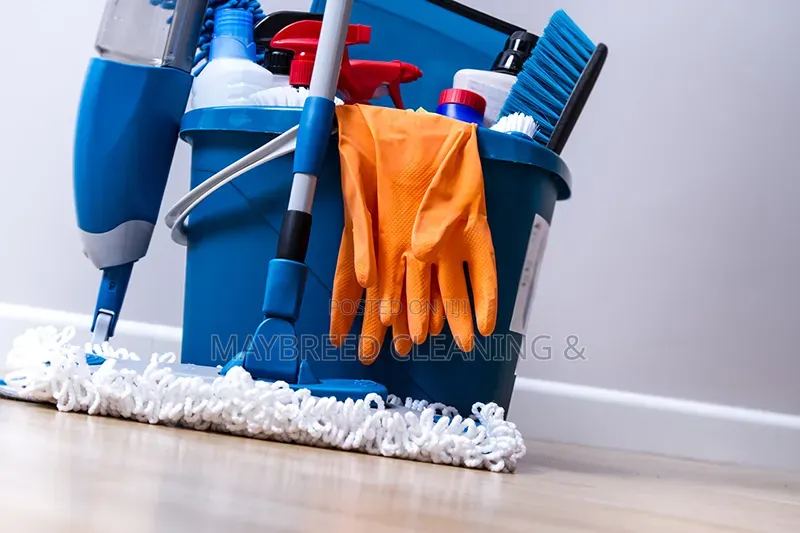 Spotless Home Cleaning Experts