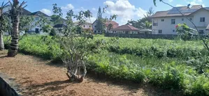 2 Plot of Land for Sale
