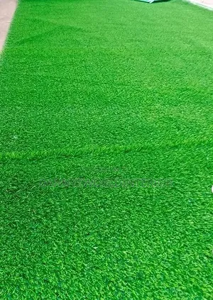  Green All Year, Beautiful Every Day!