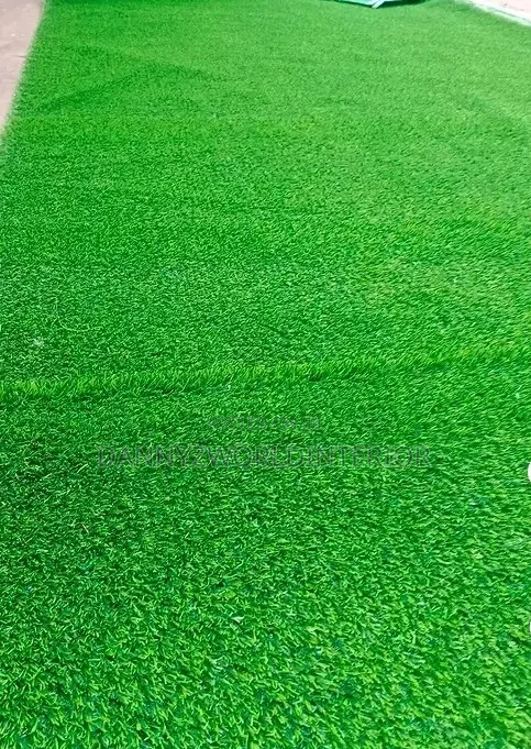  Green All Year, Beautiful Every Day!