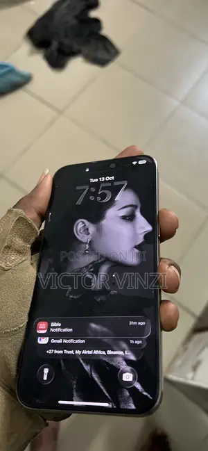 Apple iPhone 15 Pro Max 256 GB Silver