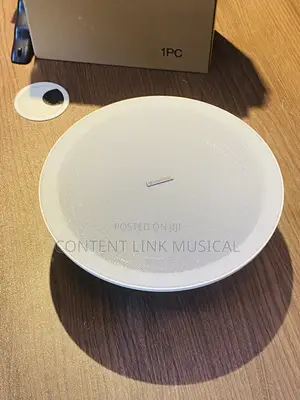 100watts Passive Ceiling Speakers