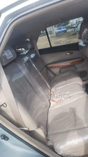 Lexus RX 2009 Silver