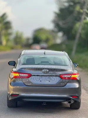 Toyota Camry XLE (2.5L 4cyl 8A) 2019 Gray