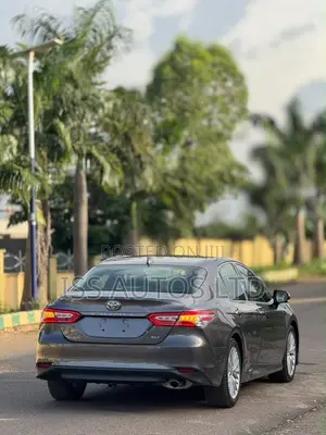 Toyota Camry XLE (2.5L 4cyl 8A) 2019 Gray