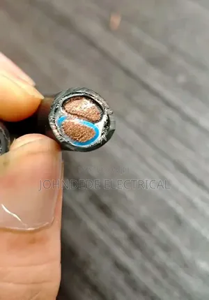 6mm 2core Fulgage Copper Wire