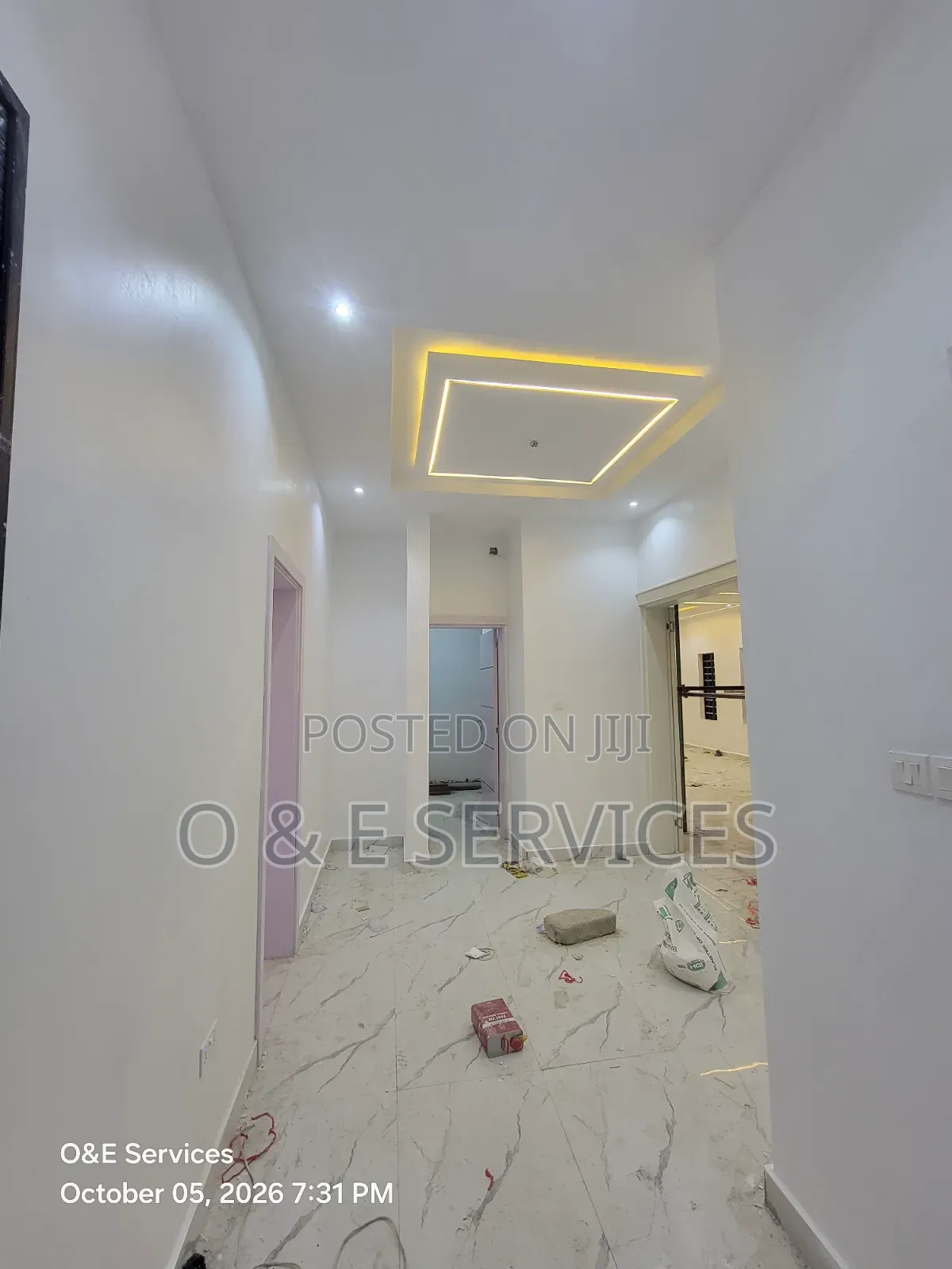 Professional Painter (Matte and Satin Finish)