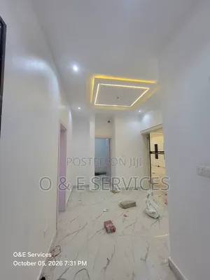 Professional Painter (Matte and Satin Finish)