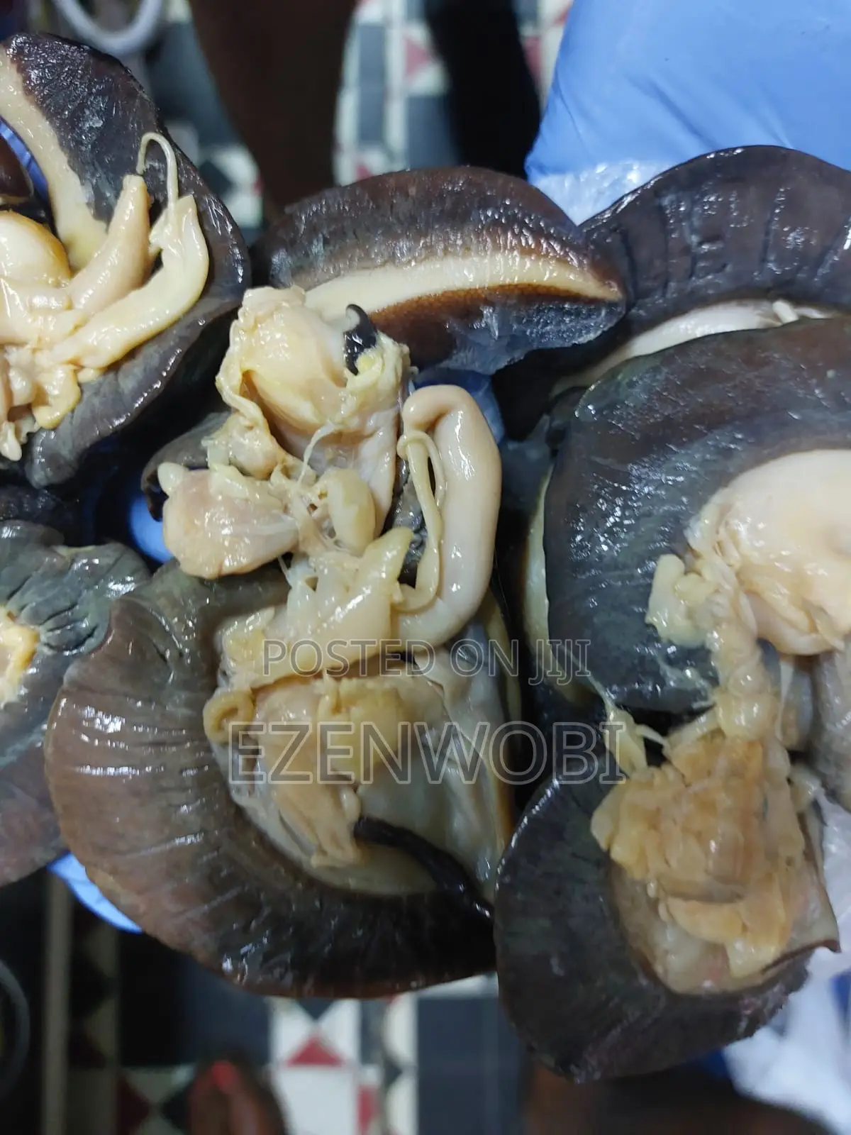Ezimnatural_foodstuff
