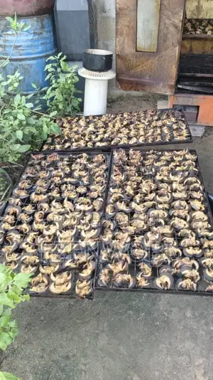 Ezimnatural_foodstuff