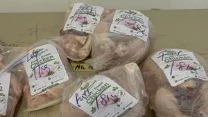 Farm Raised Fresh Frozen Chicken Available
