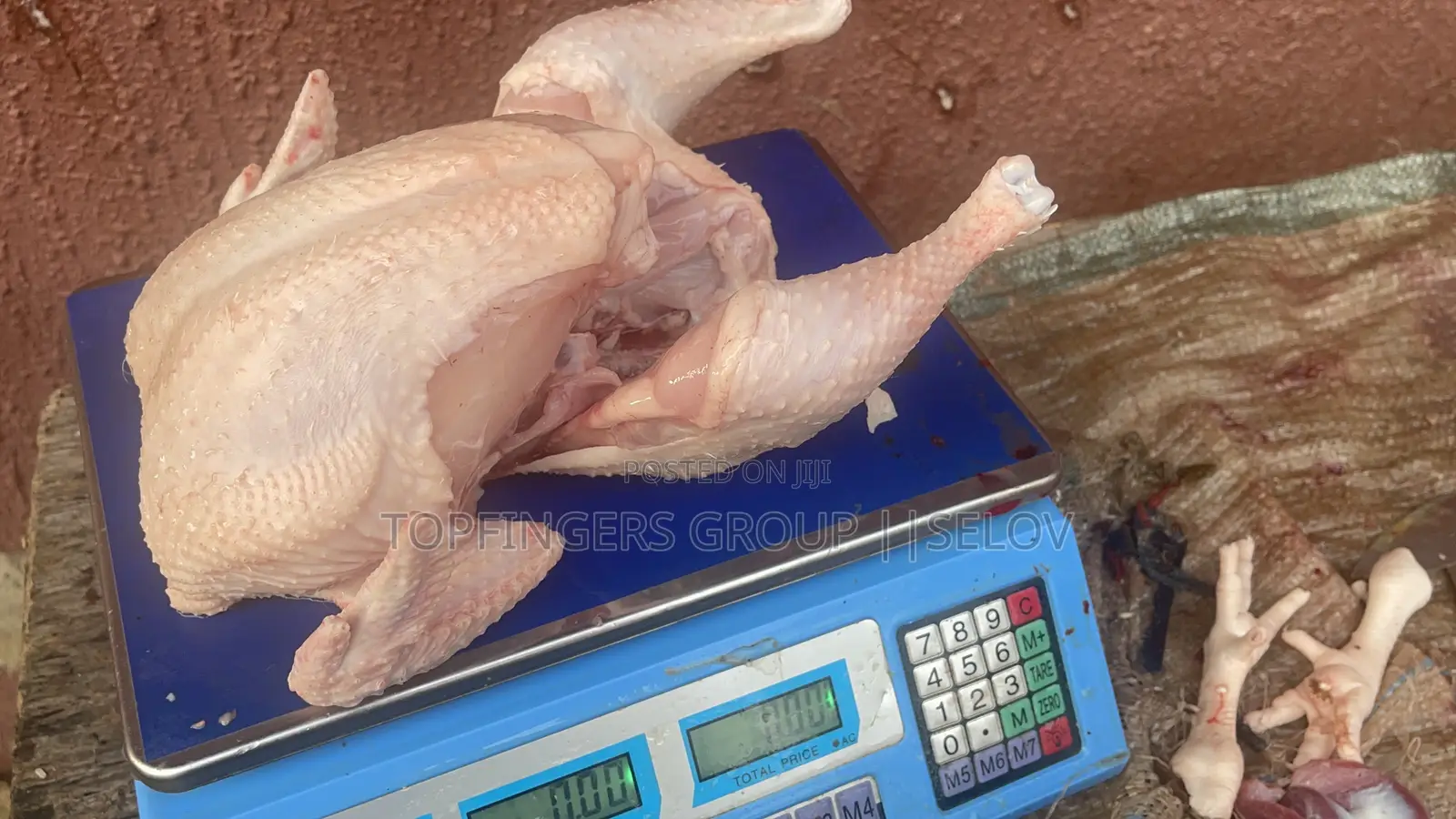 Farm Raised Fresh Frozen Chicken Available