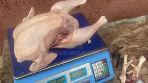 Farm Raised Fresh Frozen Chicken Available