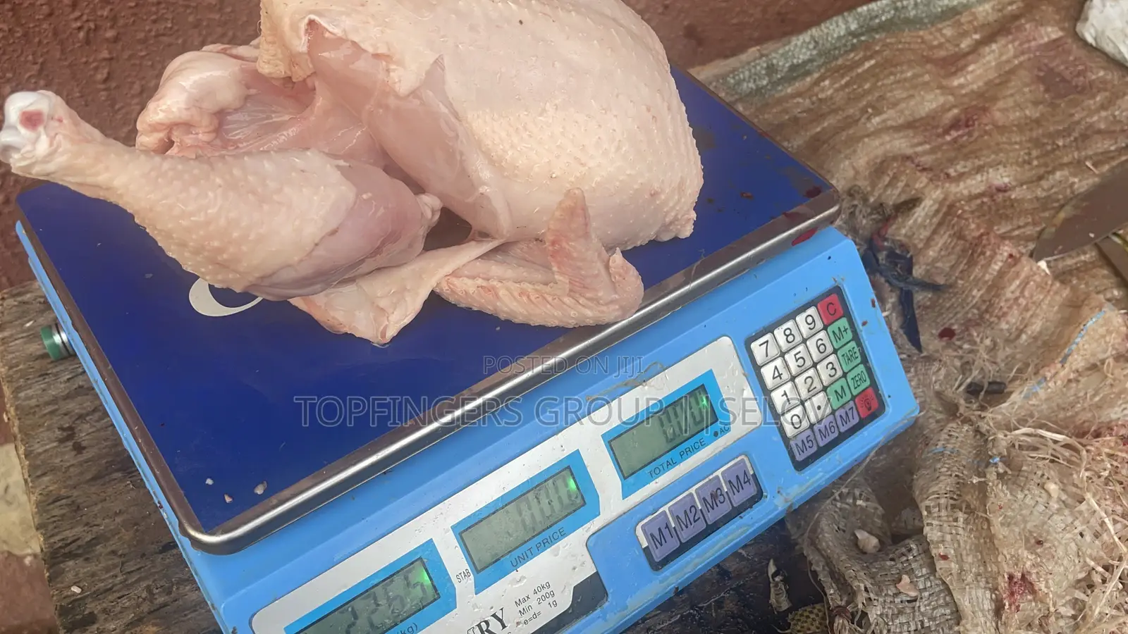 Farm Raised Fresh Frozen Chicken Available
