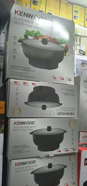 Kenwood Electric Cooking Pot