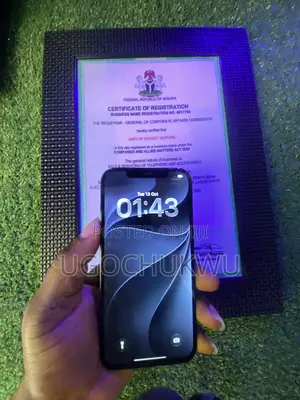 Apple iPhone 12 Pro Max 128 GB Blue