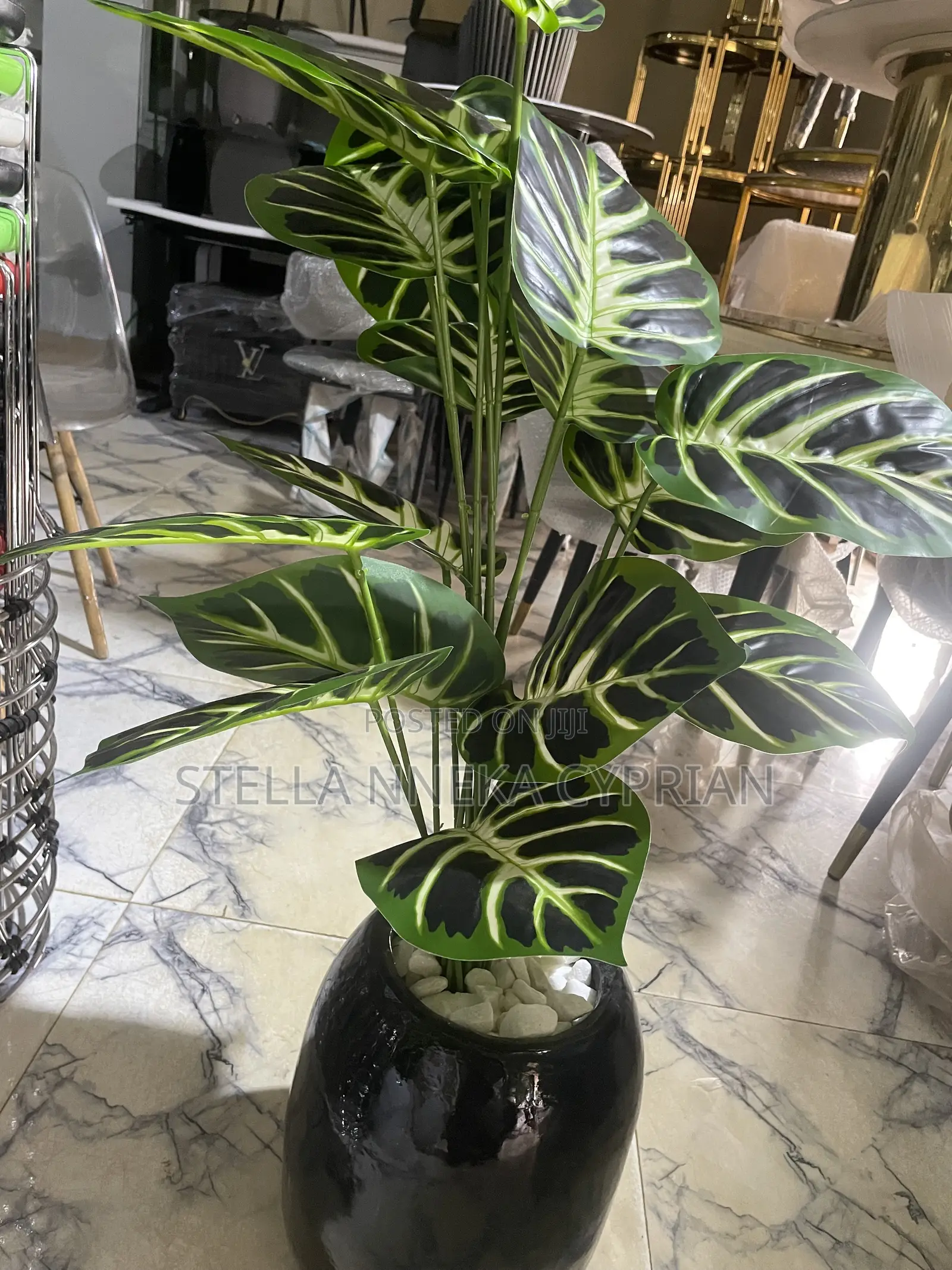 Flower Vase and Plant