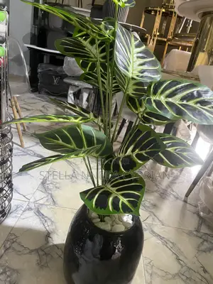 Flower Vase and Plant