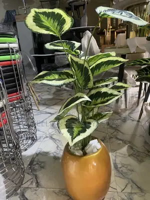 Flower Vase and Plant
