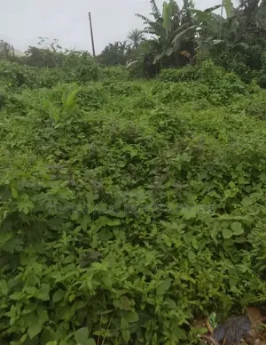 Over 100 Acres of Land for Sale in Abuja