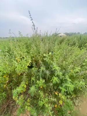 Distress Sale 500 SQM Estate Plot by Kubwa Express Way, Abuja