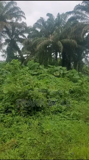 Promise Land Estate, an Amazing 50×100 Plot — Own Your Future!