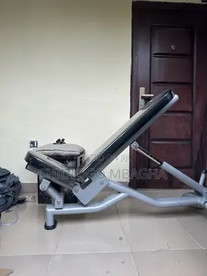Gym Workout Bench