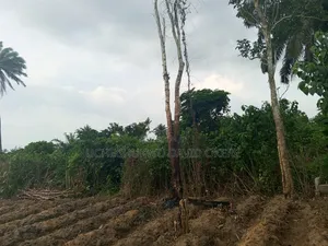 Landed Property for Sale