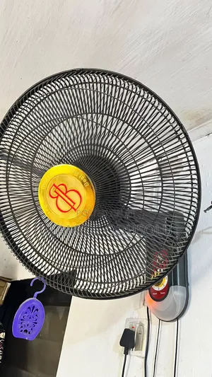 BB Wall Fan 18"