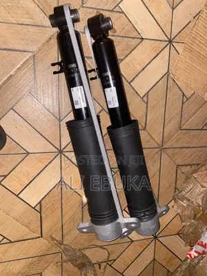 Back Shock for GS8