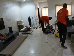 Dirt Vacuum Cleaning Service