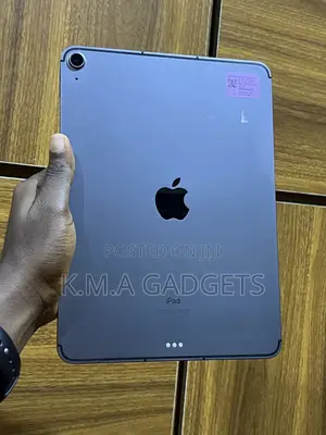 Apple iPad Air 256 GB Gray